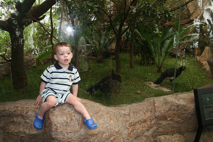 Grant's 2 year birthday014.JPG